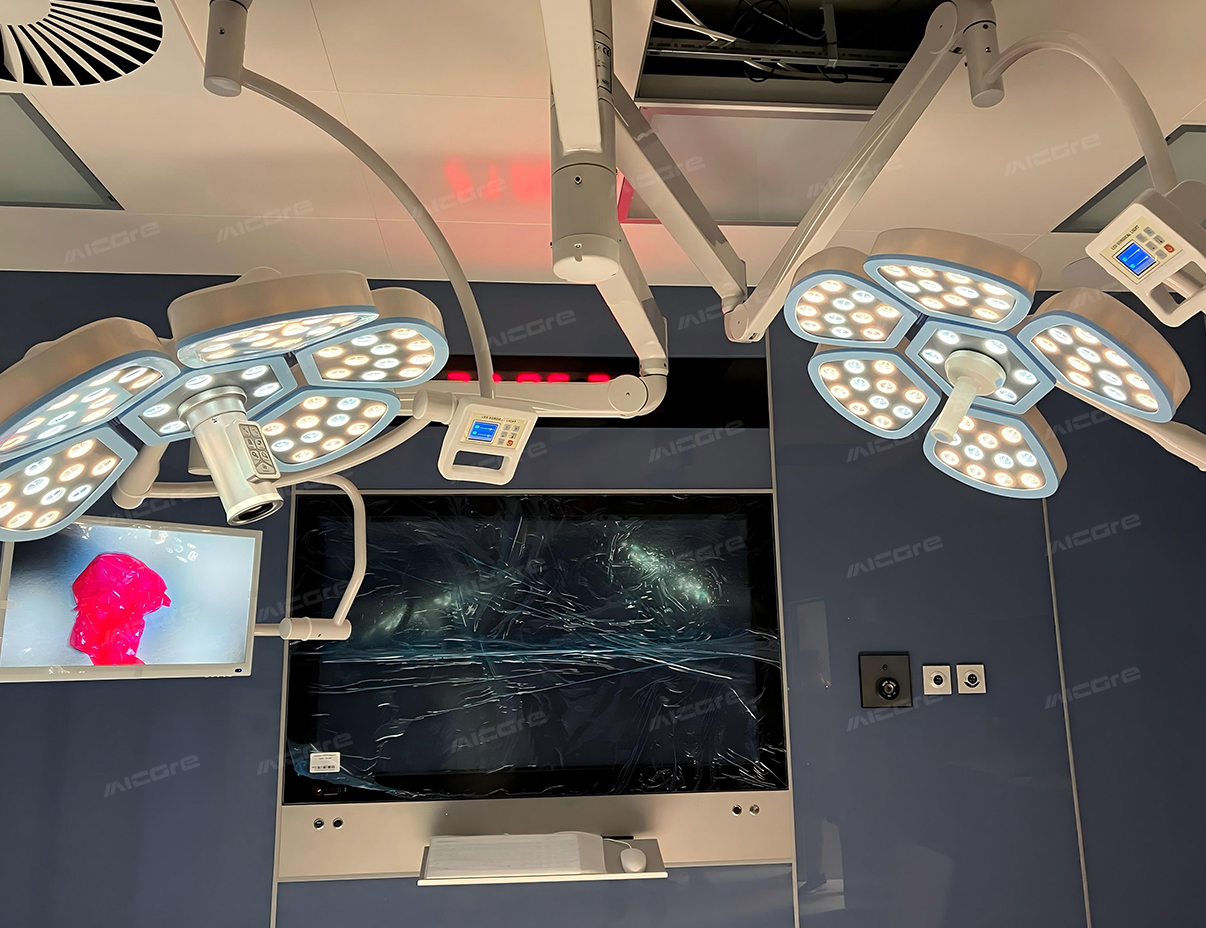 4-MICARE FLOWER-LED E7007002units LED Surgical Light with Camera and Monitor in Poland Vet Hospital
